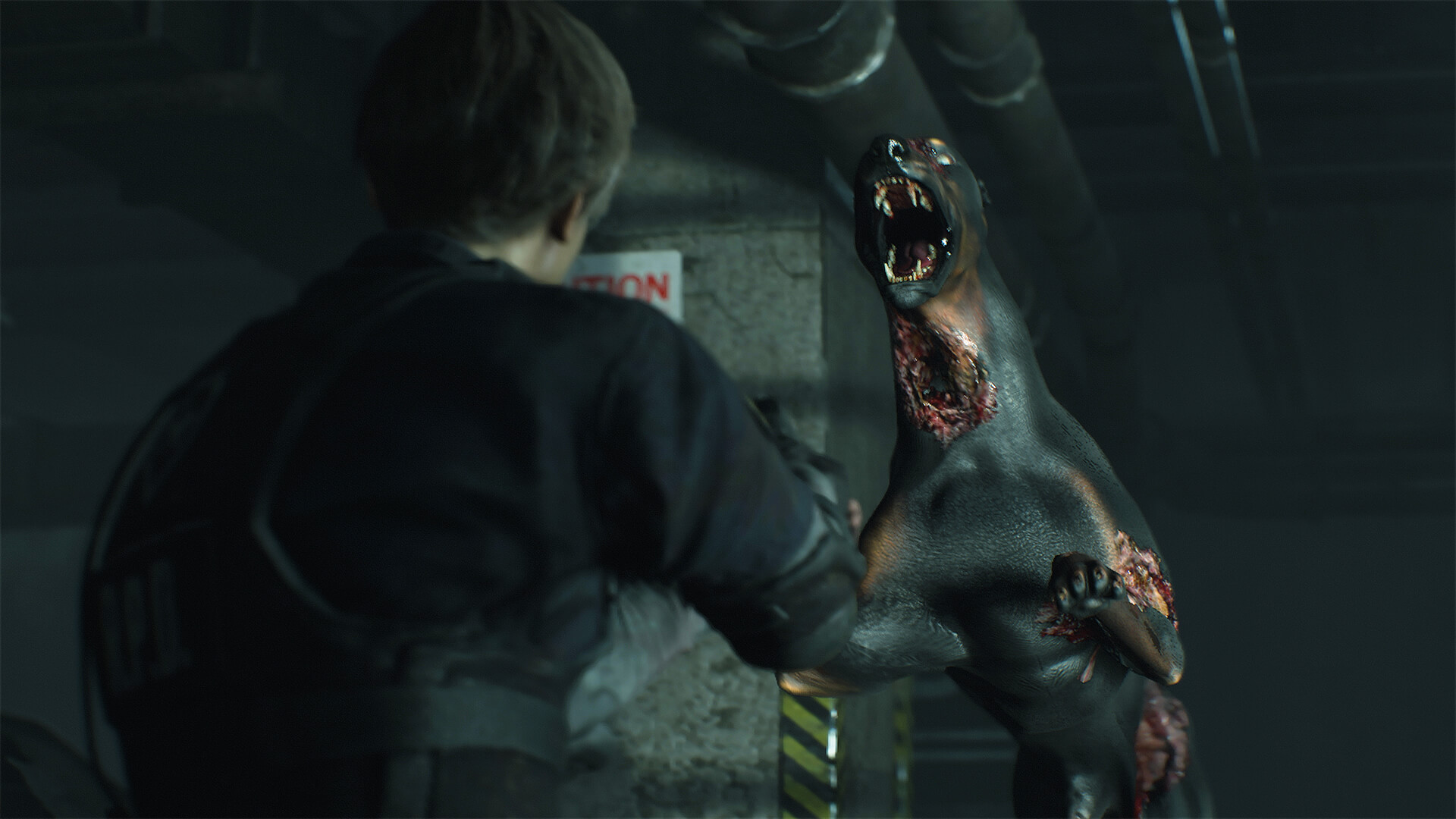 Zombie Dog / Cerberus Resident Evil