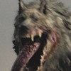 Garmr