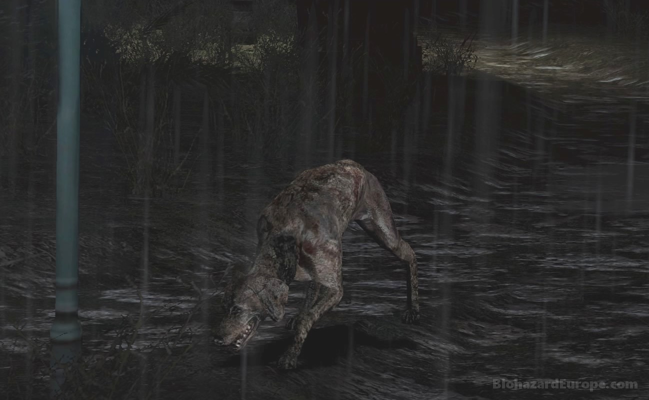 Zombie Dog C Resident Evil